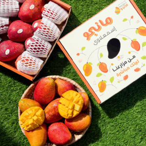 naoumi mango – 4 kg