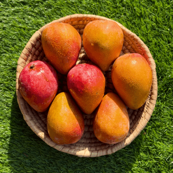 haidy mango – 4 kg haidy mango – 4 kg