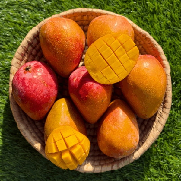 haidy mango – 4 kg haidy mango – 4 kg