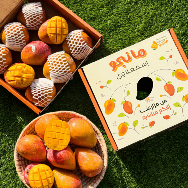 haidy mango – 4 kg haidy mango – 4 kg